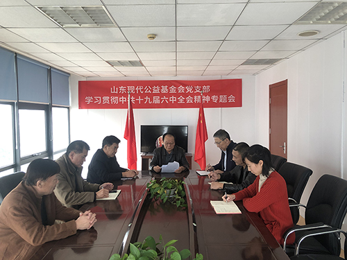 基金会召开传达学习贯彻党的十九届六中全会精神会议